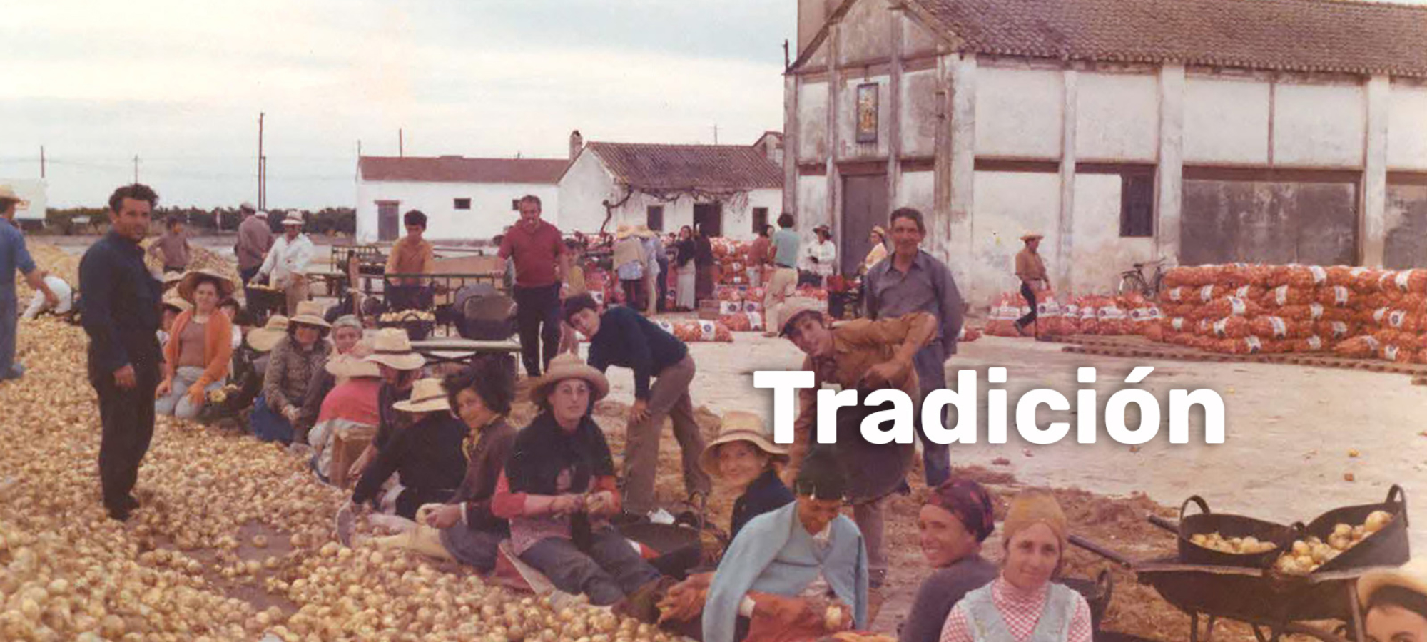tradicion